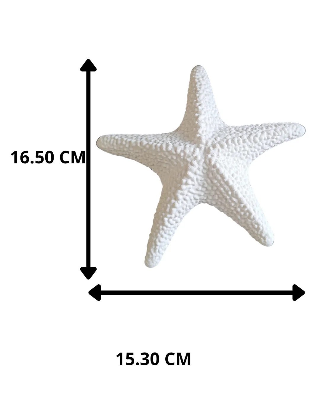 Escultura Estrella de Mar - Ariz Creativo