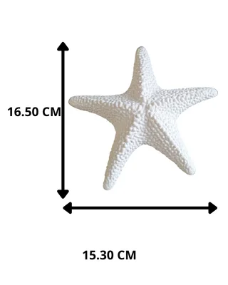 Escultura Estrella de Mar - Ariz Creativo