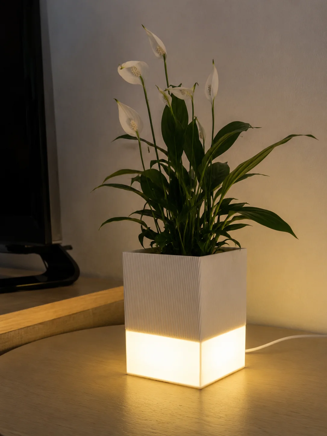 Detalle de Maceta Luminosa LED