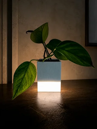 Maceta Luminosa LED - Ariz Creativo