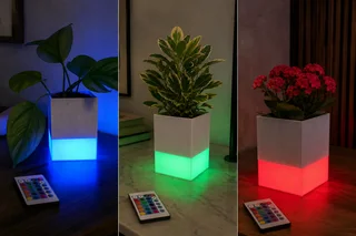 Maceta Luminosa LED - Ariz Creativo