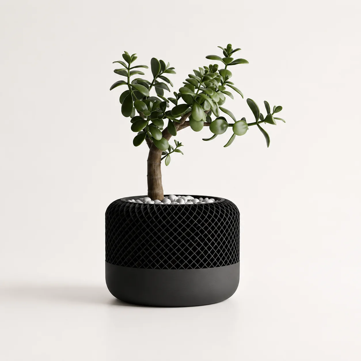 Maceta Minimalista Decorativa - Ariz Creativo